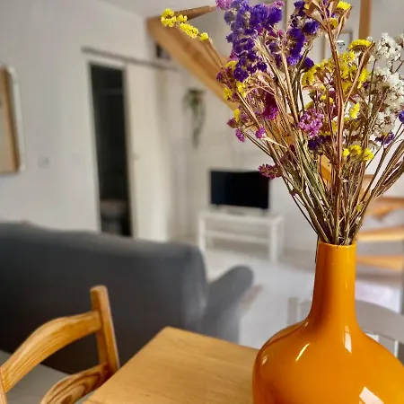 Casinha Da Patricia Apartment *